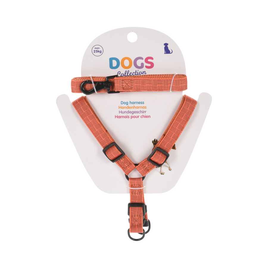 Dog Lead & Harness