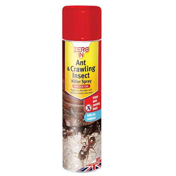 ANT.png